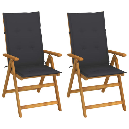 Hagestoler 2 Stk Med Puter Heltre Akasie